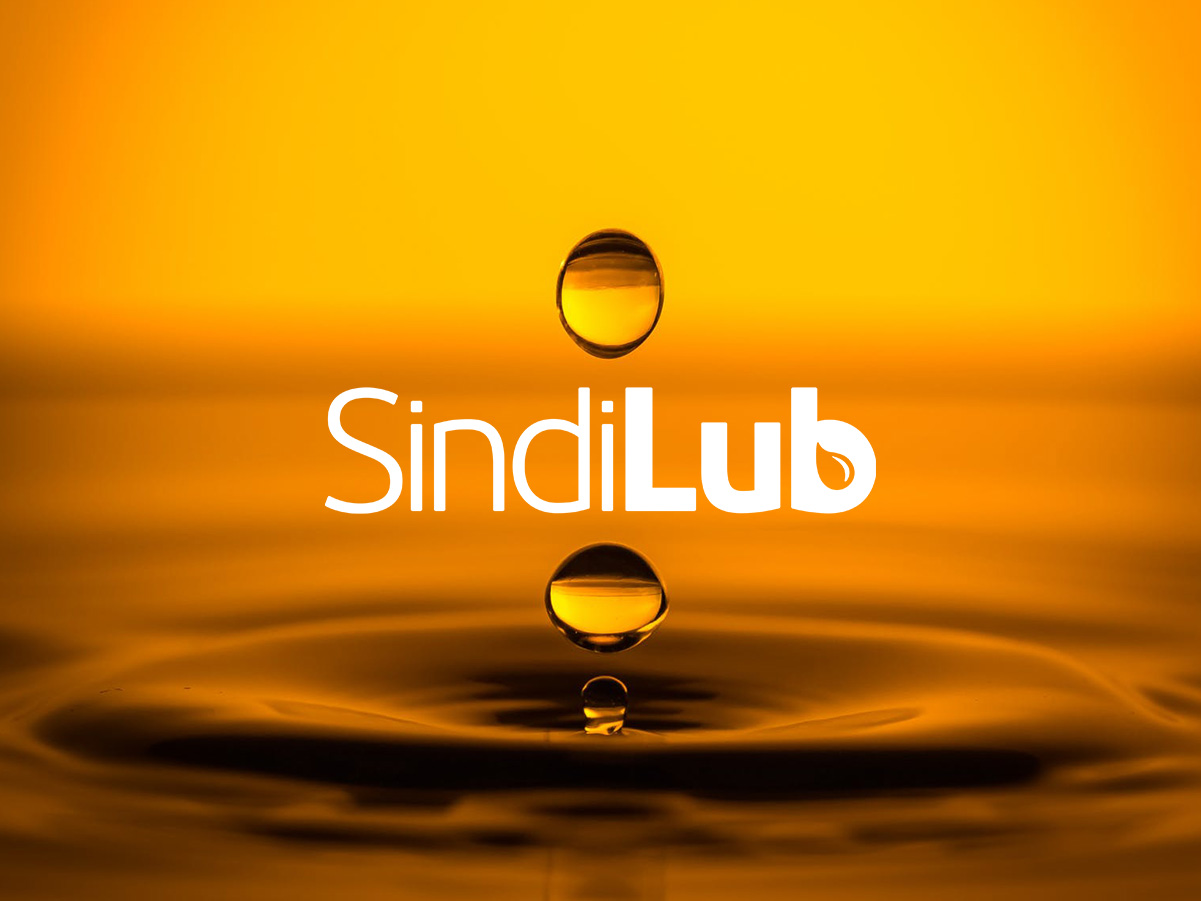 imagem002 — thumbnail do case Sindilub